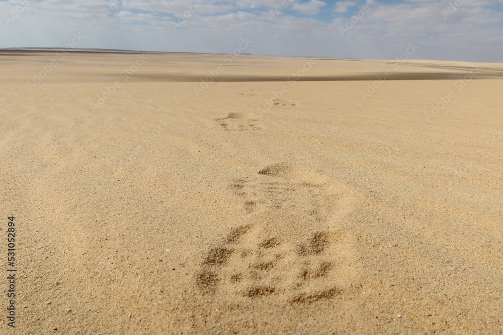 Human foot print on the sand in Fayoum desert in Egypt Human foot print on the sand in Fayoum desert in Egypt