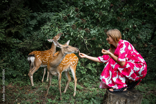 Girl feeding wild deer at petting zoo. people feed animals at outdoor. Family summer trip to zoological garden. 