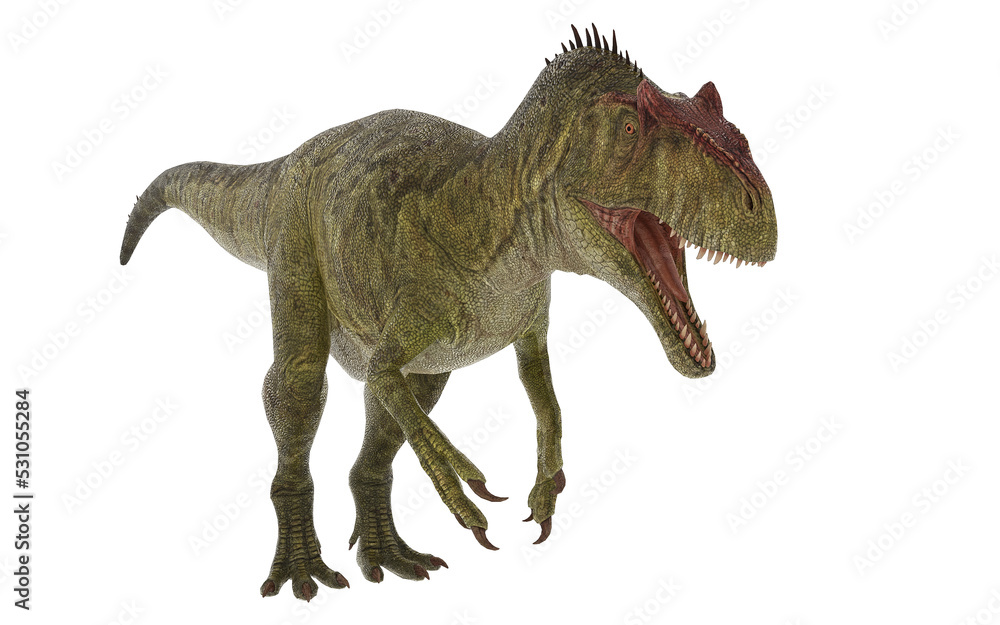Fototapeta premium Dinosaur allosaurus on white background
