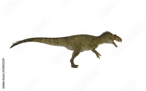 Dinosaur allosaurus on white background © Edit