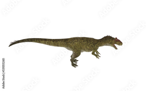 Dinosaur allosaurus on white background