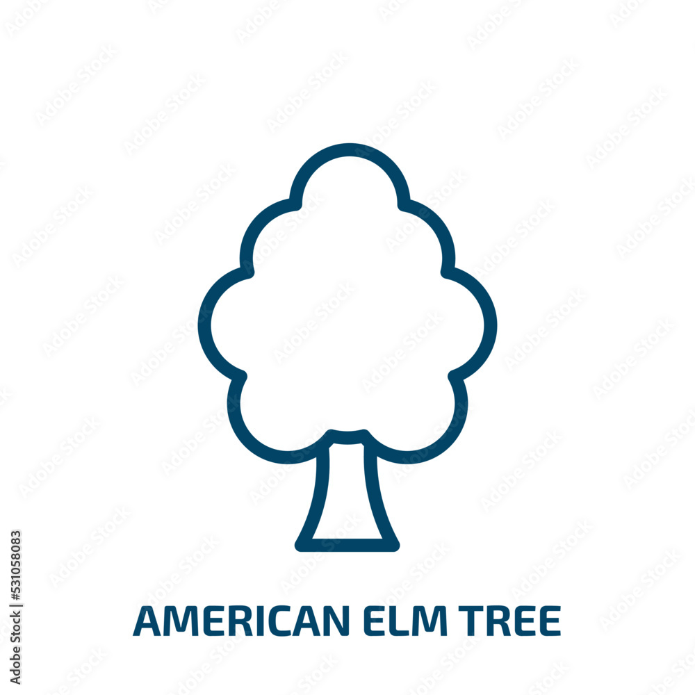 american elm tree icon from nature collection. Thin linear american elm tree, birch, elm outline icon isolated on white background. Line vector american elm tree sign, symbol for web and mobile american elm tree icon from nature collection. Thin linear american elm tree, birch, elm outline icon isolated on white background. Line vector american elm tree sign, symbol for web and mobile