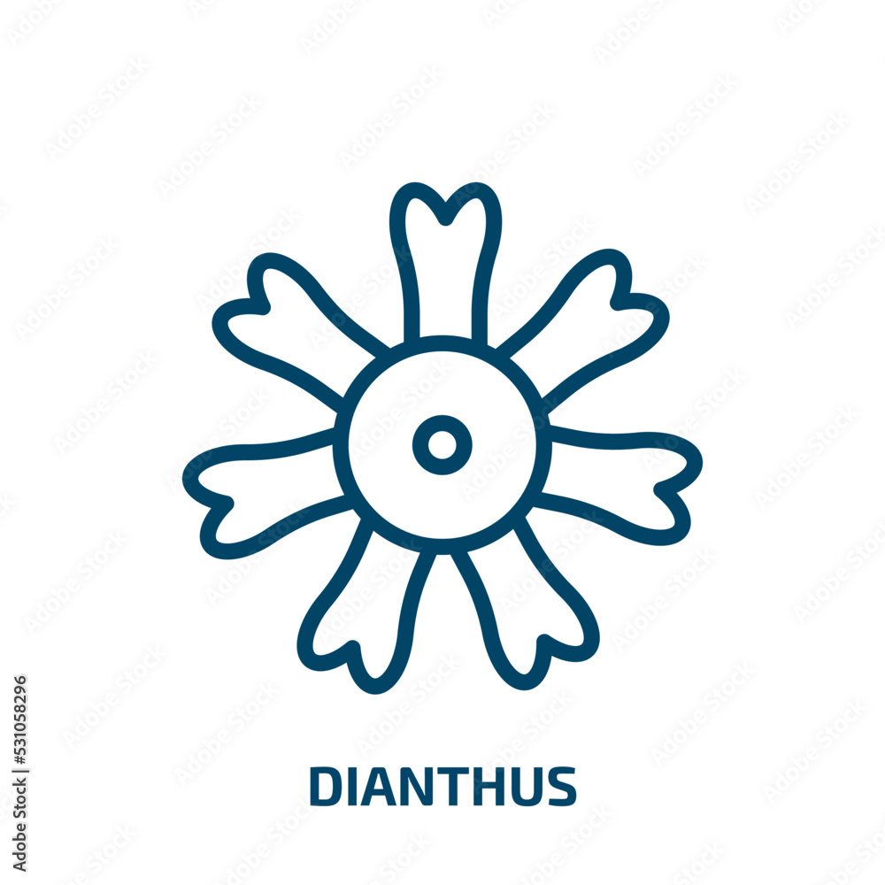 dianthus icon from nature collection. Thin linear dianthus, spring, flower outline icon isolated on white background. Line vector dianthus sign, symbol for web and mobile dianthus icon from nature collection. Thin linear dianthus, spring, flower outline icon isolated on white background. Line vector dianthus sign, symbol for web and mobile