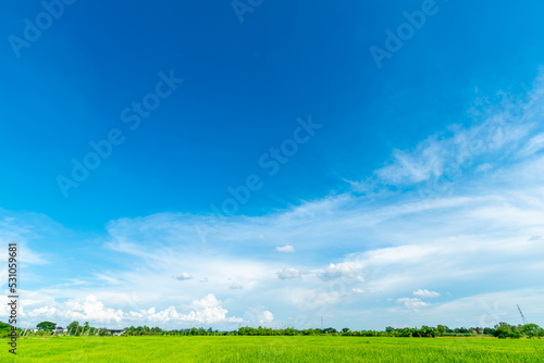 beautiful Rice field green grass with field cornfield with air atmosphere bright blue sky background abstract clear texture with white clouds.