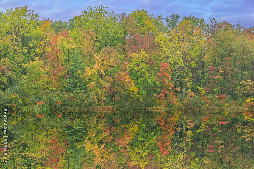 Autumn landscape of the shoreline of McDonald Lake at dawn with mirrored reflections in calm water, Yankee Springs State Park, Michigan, USA Autumn landscape of the shoreline of McDonald Lake at dawn with mirrored reflections in calm water, Yankee Springs State Park, Michigan, USA