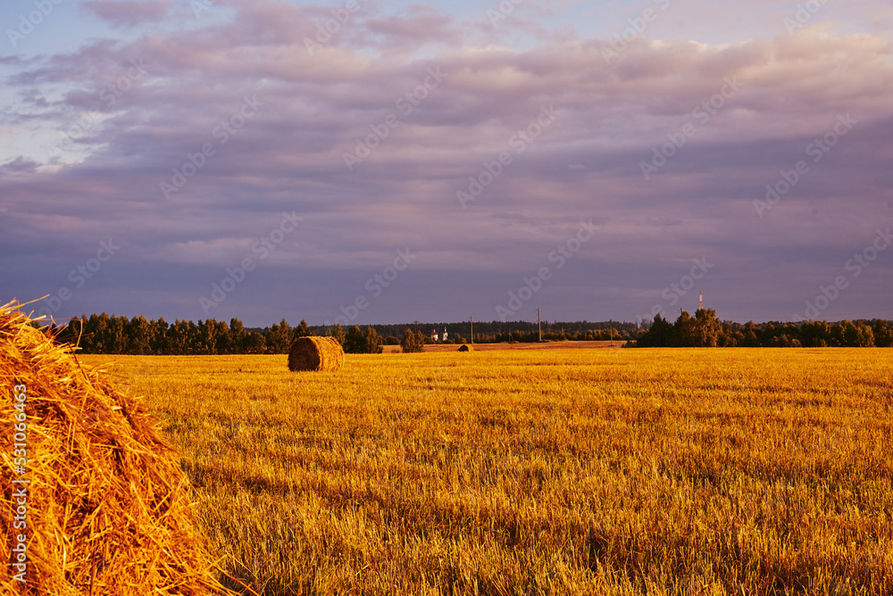 A mown field with haystacks under a sky at sunset.
