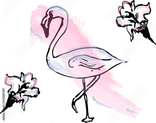Flamingo watercolor line art vector. Tropical theme posters