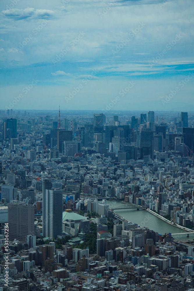都市風景　東京スカイツリーからの眺める隅田川と東京タワー	

