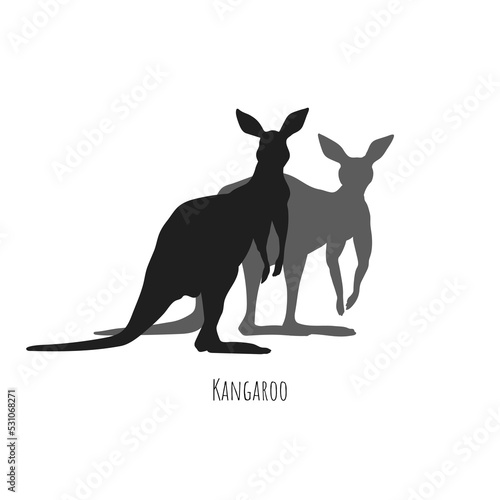 Isolated kangaroo silhouettes. Couple australian animals. Nature of Australia. Wildlife savannah scenery. Black print of wallaby