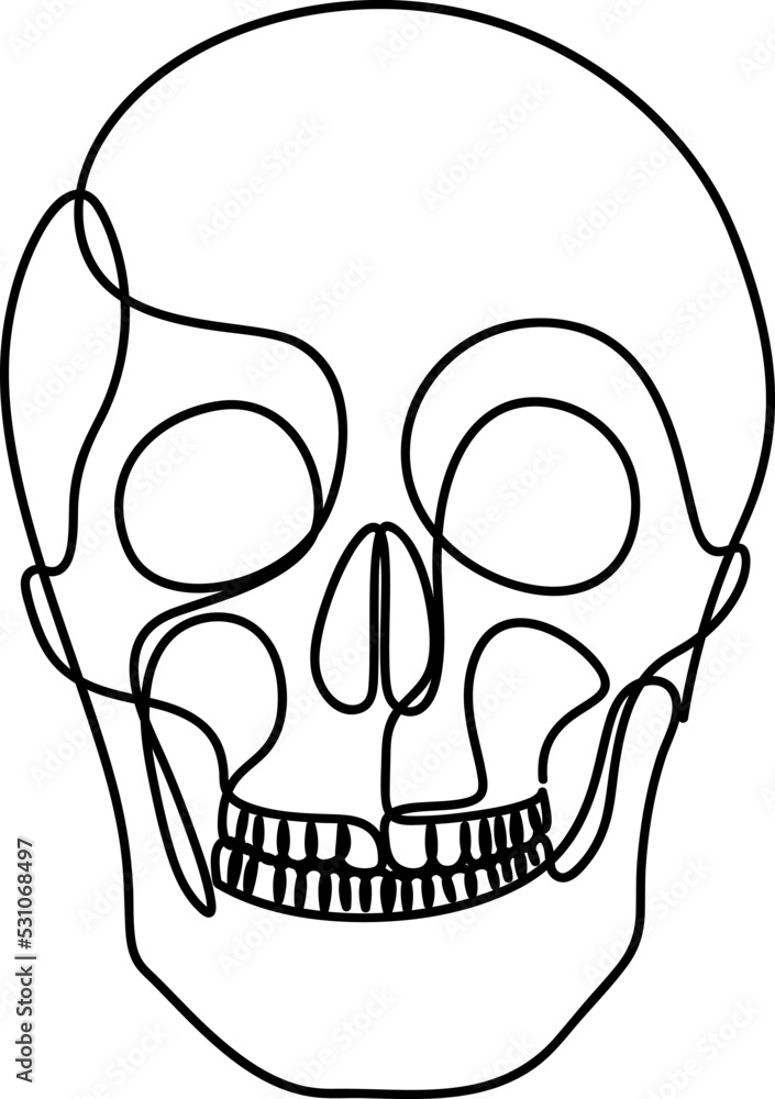 One line human organs design silhouette. Abstract human skull hand drawn outline. Anatomy concept. Continuous line art style. Vector illustration. One line human organs design silhouette. Abstract human skull hand drawn outline. Anatomy concept. Continuous line art style. Vector illustration.