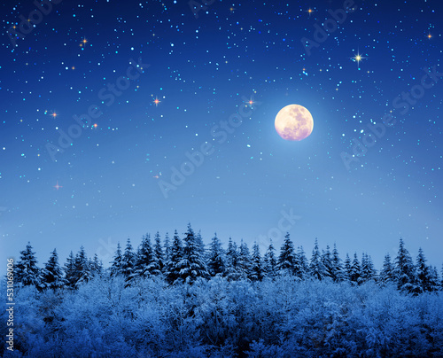 Christmas background with stars and big moon in winter forest.