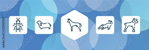 dog breeds fullbody outline icon set isolated on blue abstract background. thin line icons such as red soldier beetle, bas hound, pharaoh hound, dogs playing, chinese crested vector. can be used for