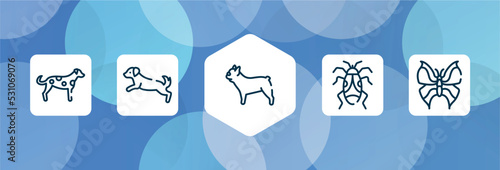 insects outline icon set isolated on blue abstract background. thin line icons such as dalmatian, dog scaping, french bulldog, null, leaf butterfly vector. can be used for web and mobile.