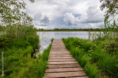 A wooden jetty in green reeds on the lake shore and clouds in the sky .