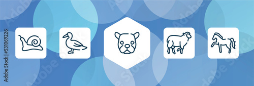 free animals outline icon set isolated on blue abstract background. thin line icons such as null, wild duck, face of staring dog, black sheep, horse with leg up vector. can be used for web and
