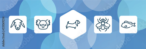 free animals outline icon set isolated on blue abstract background. thin line icons such as female sheep head, koala head, dog with long ears, big fly, tropical fish vector. can be used for web and