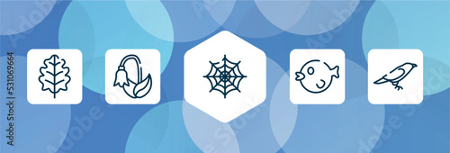 birds outline icon set isolated on blue abstract background. thin line icons such as oak leaf, harebell, spider web, puffer fish, crow vector. can be used for web and mobile.