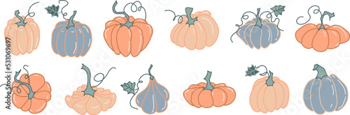 set pumpkin vegetables vector hand drawn illustration seasonal autumn harvest