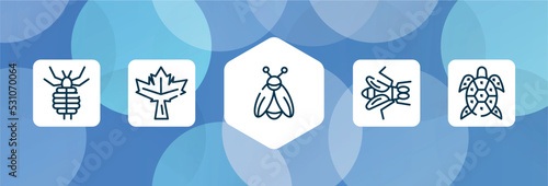 nature outline icon set isolated on blue abstract background. thin line icons such as louse, maple leaf, firefly, gadfly, turtle vector. can be used for web and mobile.