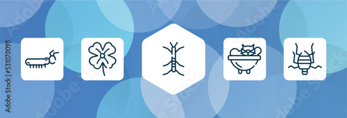 insects outline icon set isolated on blue abstract background. thin line icons such as caterpillar, clover, stick insect, cat bath, bedbug vector. can be used for web and mobile.
