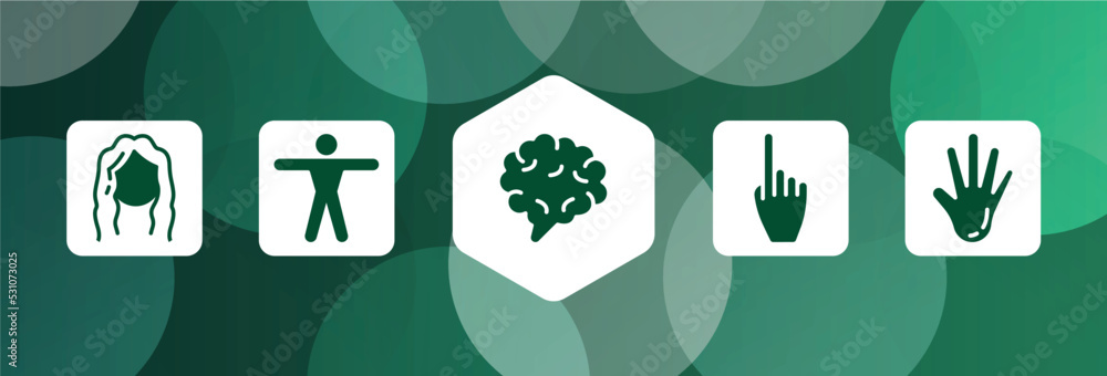 body parts filled icon set isolated on abstract background. glyph icons ...