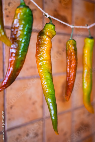 red, green and yellow hot chili peppers on old ceramic tiles background