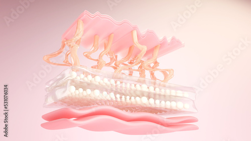 Konstfotografi Skin cells and Elastin with collagen layer for facial and skin treatment