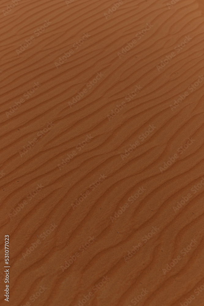 Sand in the desert, Oman Wahiba Sands Sand in the desert, Oman Wahiba Sands