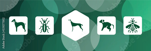 insects filled icon set isolated on abstract background. glyph icons such as bedlington terrier, golden ground beetle, greyhound, scold the dog, bumblebee vector. can be used for web and mobile.