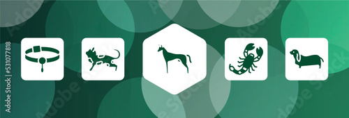 dog and training filled icon set isolated on abstract background. glyph icons such as pet collar, toyger cat, pharaoh hound, scorpio, bas hound vector. can be used for web and mobile.