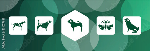 dog breeds fullbody filled icon set isolated on abstract background. glyph icons such as dalmatian, jack russel terrier, shar pei, strepsiptera, pug vector. can be used for web and mobile. photo