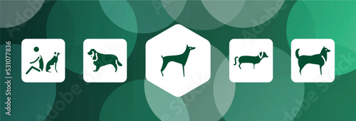 dog breeds fullbody filled icon set isolated on abstract background. glyph icons such as dog and man seating, english cocker spaniel, doberman, dachshund, husky vector. can be used for web and