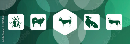dog breeds heads filled icon set isolated on abstract background. glyph icons such as chrysomela, chow chow, chihuahua, corgi, bernese mountain dog vector. can be used for web and mobile.