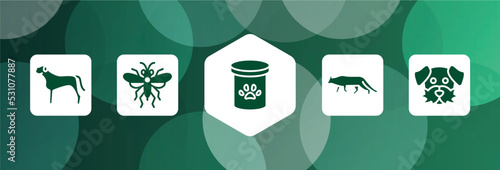 dog and training filled icon set isolated on abstract background. glyph icons such as bullmastiff, sawfly, pet food, snowshoe cat, dog moustache vector. can be used for web and mobile.