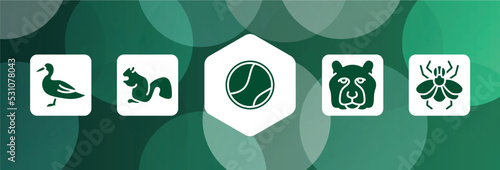 free animals filled icon set isolated on abstract background. glyph icons such as wild duck, sitting squirrell, tennis ball, tiger head, big fly vector. can be used for web and mobile.
