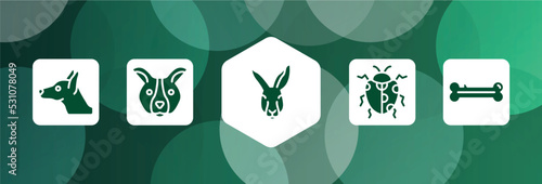 woof woof filled icon set isolated on abstract background. glyph icons such as doberman dog head, dog face, kangaroo head, spots ladybug, dog bone vector. can be used for web and mobile.