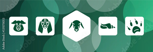 woof woof filled icon set isolated on abstract background. glyph icons such as pig head, bas hound dog head, female sheep head, seashell conch, animal paw print vector. can be used for web and