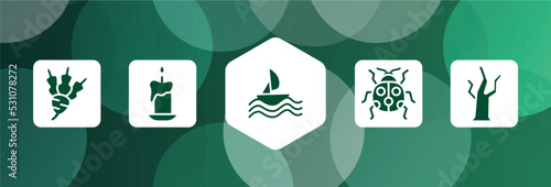 nature filled icon set isolated on abstract background. glyph icons such as beet, candles, sailing, ladybird, dead tree vector. can be used for web and mobile.