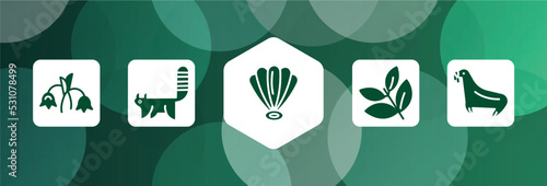 zoo filled icon set isolated on abstract background. glyph icons such as harebell, red panda, shell, herb, sea lion vector. can be used for web and mobile.