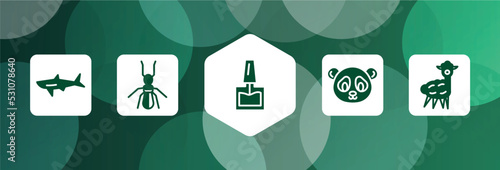 animals filled icon set isolated on abstract background. glyph icons such as shark, termite, nail polish, panda bear, alpaca vector. can be used for web and mobile.