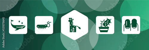 pet grooming filled icon set isolated on abstract background. glyph icons such as whale, caterpillar, giraffe, cactus, nails vector. can be used for web and mobile.