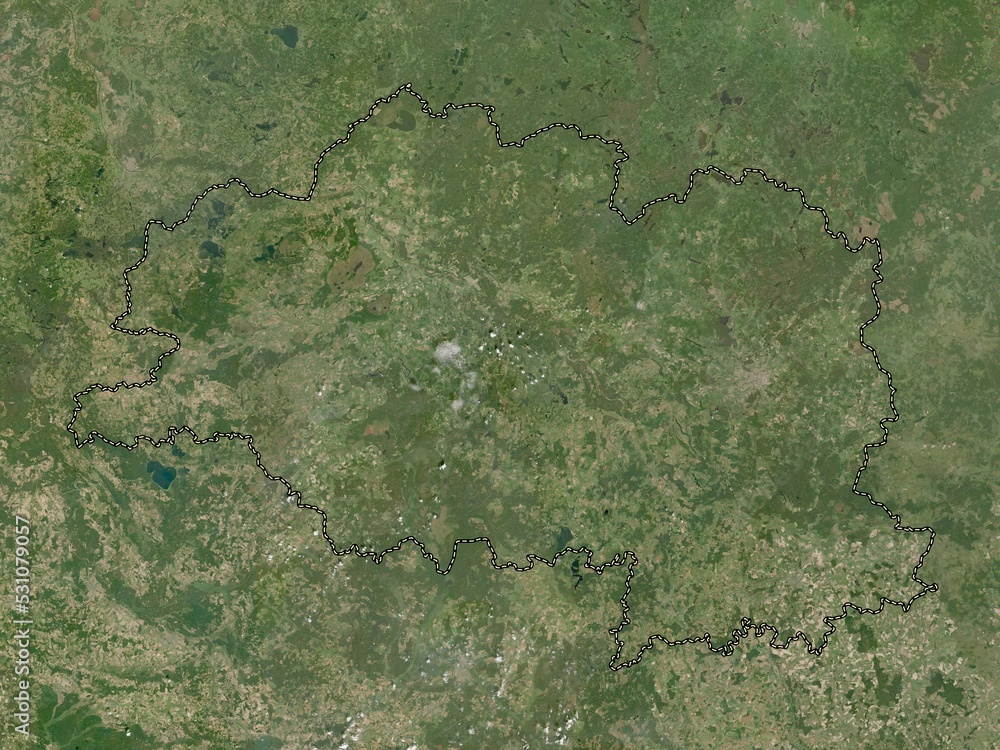 Vitsyebsk, Belarus. Low-res satellite. No legend - obrazy, fototapety, plakaty 
