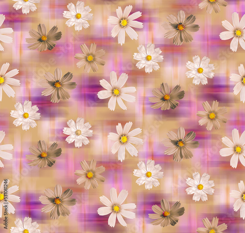 Isolated Calendula Daisy Real Flowers Photo Print Seamless Pattern Ombre Background Trendy Fashion Colors Elegant Chic Style Design Perfect for Allover Fabric Print
