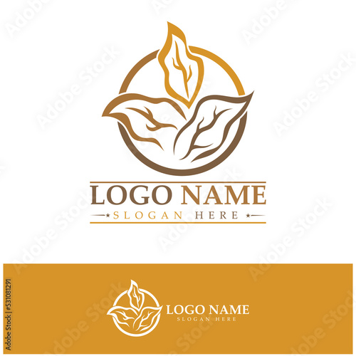 tobacco leaf logo,tobacco field and tobacco cigarette logo template design vector