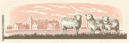 Sheep farm. Village meadow hand drawn sketch
