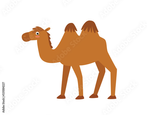 Cartoon camel. Vector cute camel. African animal. Cartoon character.