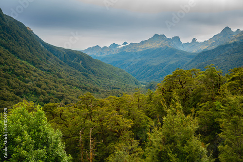 Forest and mountains of Fiordland National Park, UNESCO World Heritage Site, South Island, New Zealand, Pacific photo