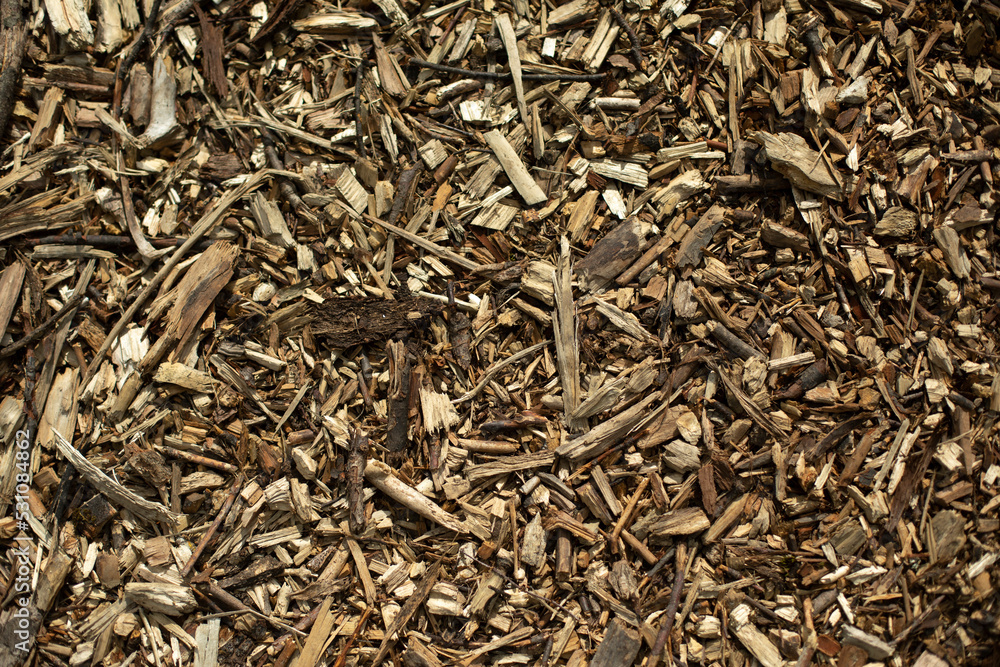 Wood chip texture. Wood trimmings. Background of small pieces of bark. Wood chip texture. Wood trimmings. Background of small pieces of bark.