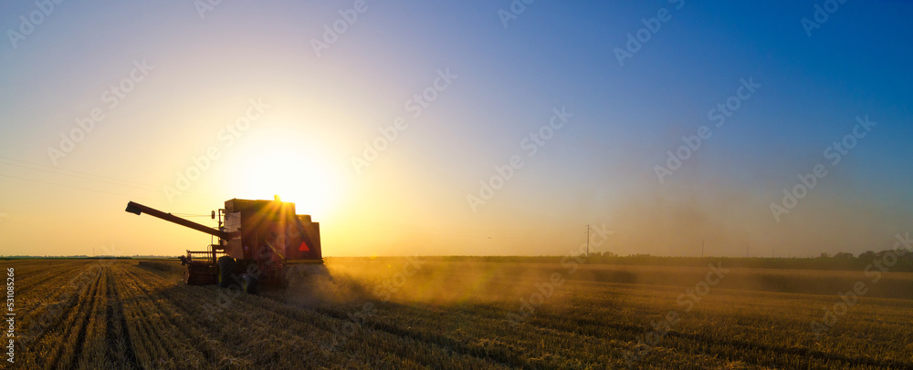 Combine harvester harvesting wheat on a sunny summer day