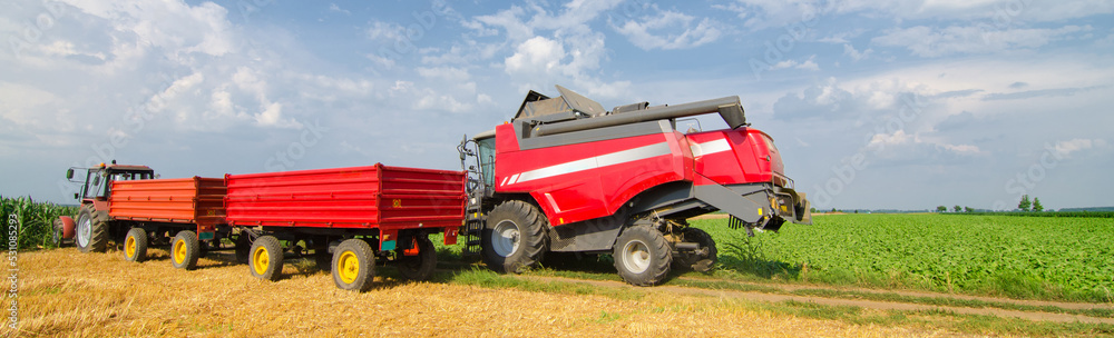 Combine harvester harvesting wheat on a sunny summer day Combine harvester harvesting wheat on a sunny summer day